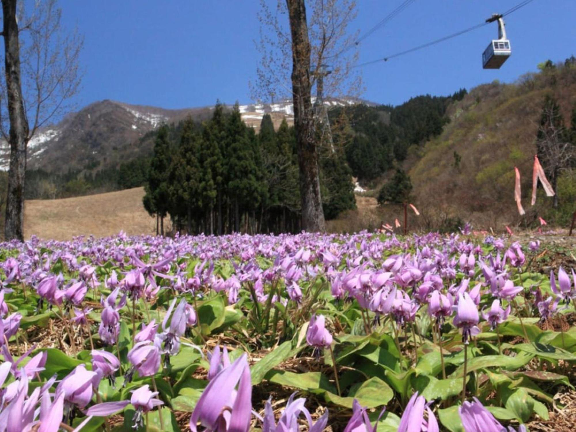 Pension Come Healing Tatami-Room- Vacation Stay 14980 Minamiuonuma Eksteriør billede